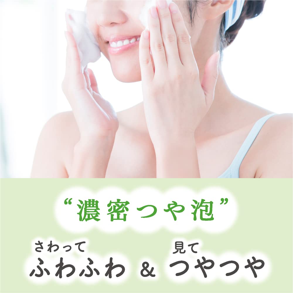 【まとめ買い】フィエスタ洗顔・手洗いフォーム業務用２Ｌ 容量2000ML×3点セット ハンドソープ
