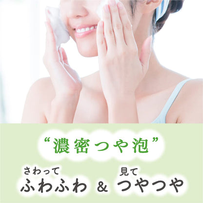 【まとめ買い】フィエスタ洗顔・手洗いフォーム業務用２Ｌ 容量2000ML×3点セット ハンドソープ