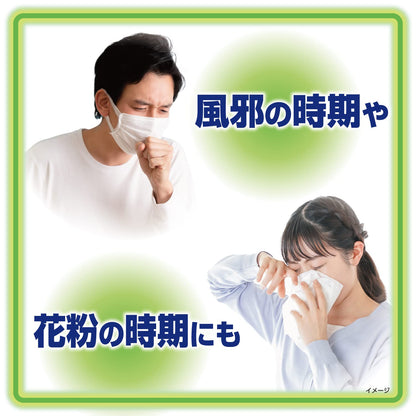 【まとめ買い】熱さまシート　大人用ミント　１２枚 容量12マイ×24点セット 小林製薬 熱中症・冷却