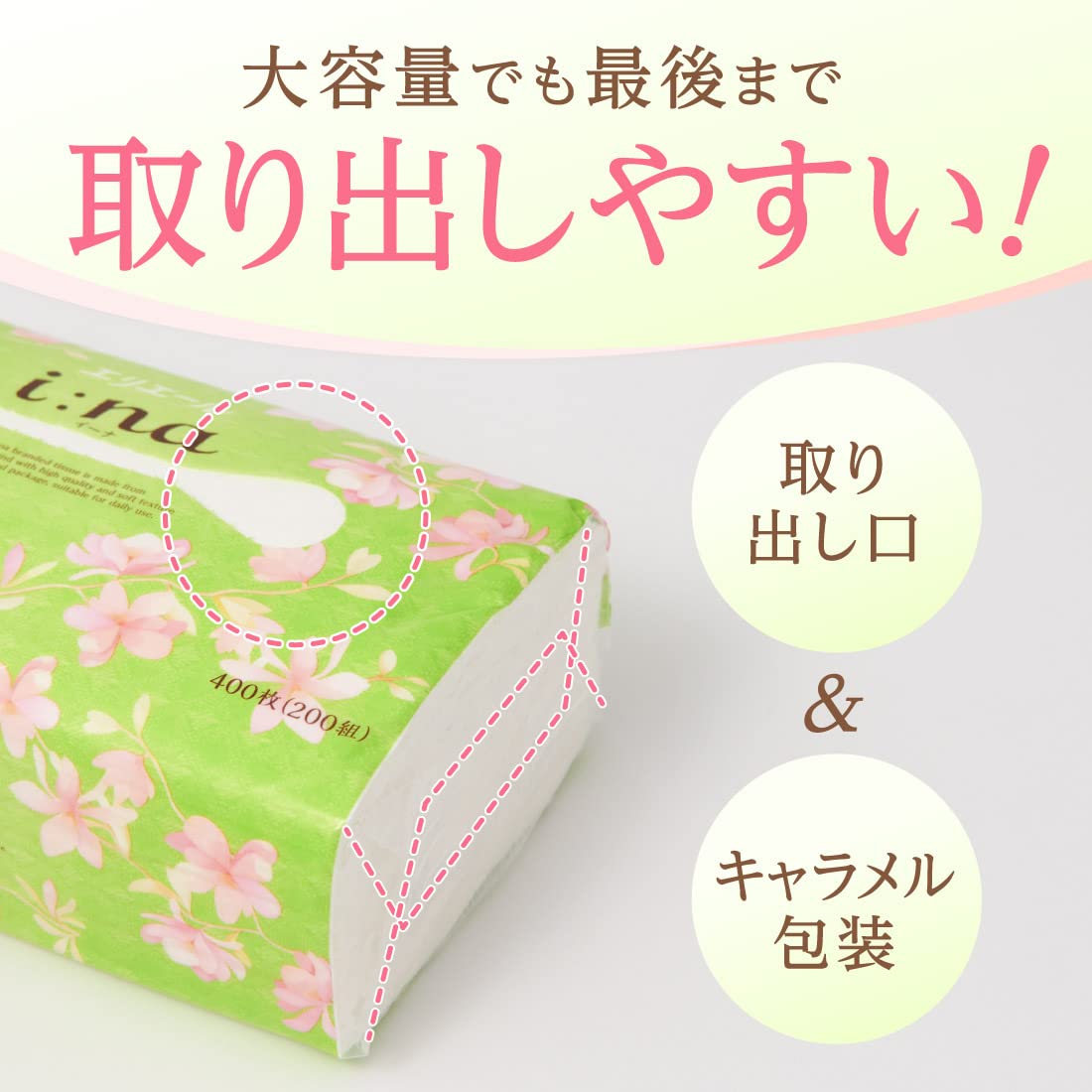 【まとめ買い】エリエールイーナティシューソフトパック２００Ｗ６Ｐ 容量6ｺ×10点セット 大王製紙 ティッシュ