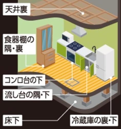 【まとめ買い】ドラデスパワーまとめて一掃６個入 容量6ｺ×24点セット フマキラー 殺虫剤・ネズミ