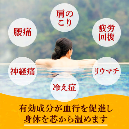 【まとめ買い】温泉郷めぐり　１５包入 容量15ﾎｳ×12点セット アース製薬 入浴剤