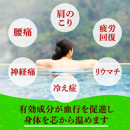 【まとめ買い】薬泉めぐり　１５包入 容量15ﾎｳ×12点セット アース製薬 入浴剤