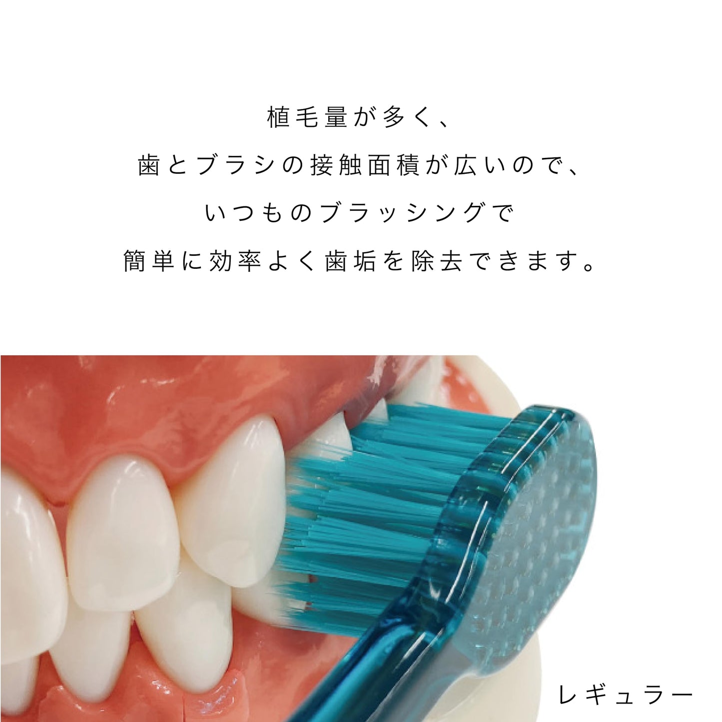 【まとめ買い】Ｂ－８０４０Ｍ　ゼロプレミアムケア・リッチレギュラー　フツウ 容量1ﾎﾝ×12点セット エビス 歯ブラシ