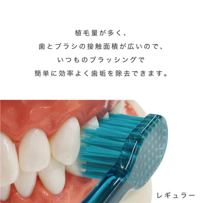【まとめ買い】Ｂ－８０４０Ｍ　ゼロプレミアムケア・リッチレギュラー　フツウ 容量1ﾎﾝ×12点セット エビス 歯ブラシ