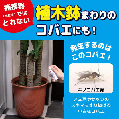 【まとめ買い】コバエがいなくなるスプレー８０回用 容量20ML×24点セット 大日本除虫菊（金鳥） 殺虫剤・ハエ・蚊
