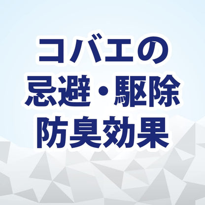 【まとめ買い】コバエコナーズ　ゴミ箱用腐敗抑制Ｗスカッシュミント 容量1ｺ×10点セット大日本除虫菊（金鳥） 殺虫剤・ハエ・蚊