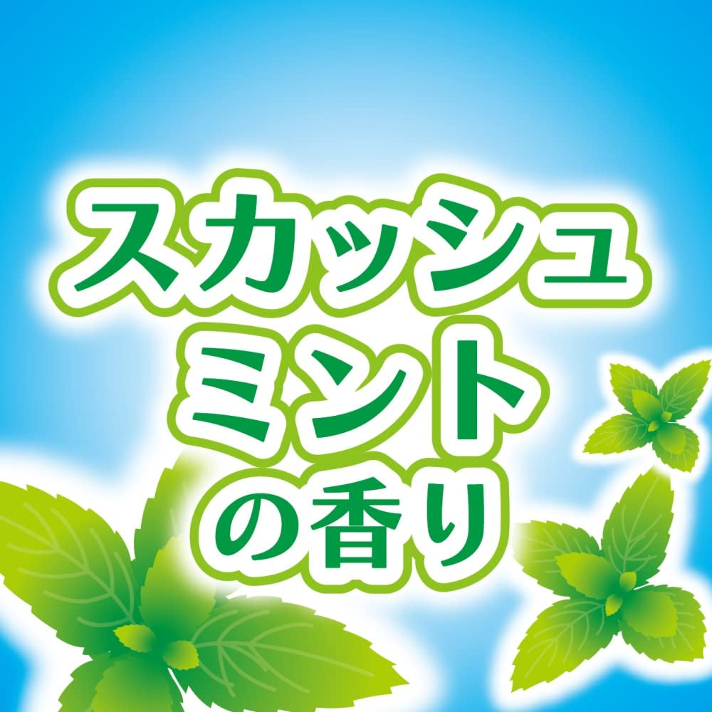 【まとめ買い】コバエコナーズ　ゴミ箱用腐敗抑制Ｗスカッシュミント 容量1ｺ×10点セット大日本除虫菊（金鳥） 殺虫剤・ハエ・蚊