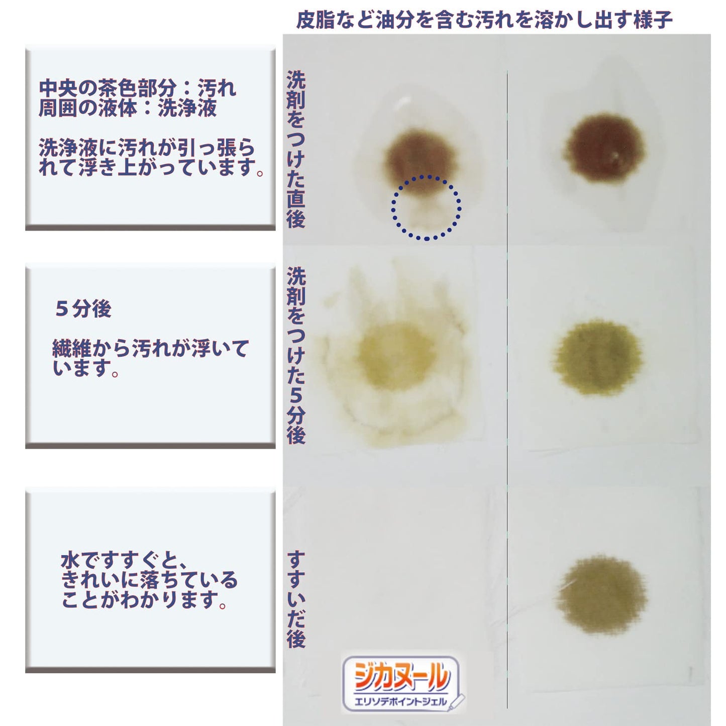 【まとめ買い】ジカヌール　エリソデポイントジェル　１５０ｍｌ 容量150ML×24点セット カネヨ石鹸 衣料用洗剤