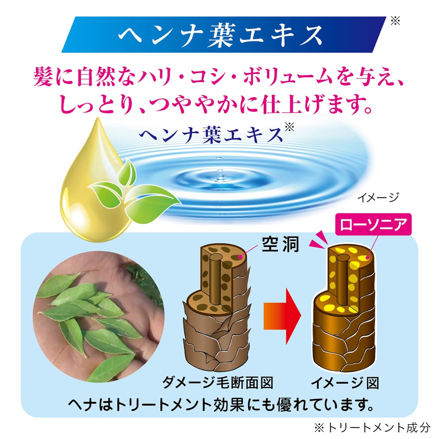 【まとめ買い】テンスター　カラーシャンプー　ダークブラウン（詰替用） 容量260ML×24点セット 三宝商事 ヘアカラー・白髪用