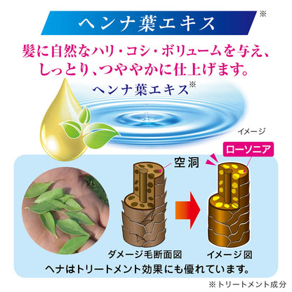 【まとめ買い】テンスター　カラーシャンプー　ダークブラウン（詰替用） 容量260ML×24点セット 三宝商事 ヘアカラー・白髪用