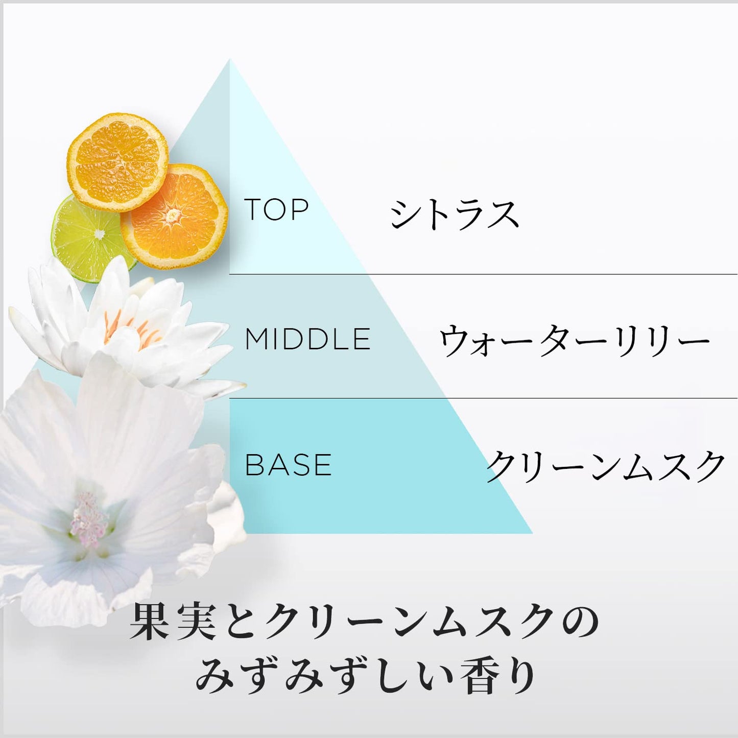【まとめ買い】パンテーンミラクルズ　うるおいブースト　トリートメント　ポンプ容量440G×10点セットコンディショナー・リンス