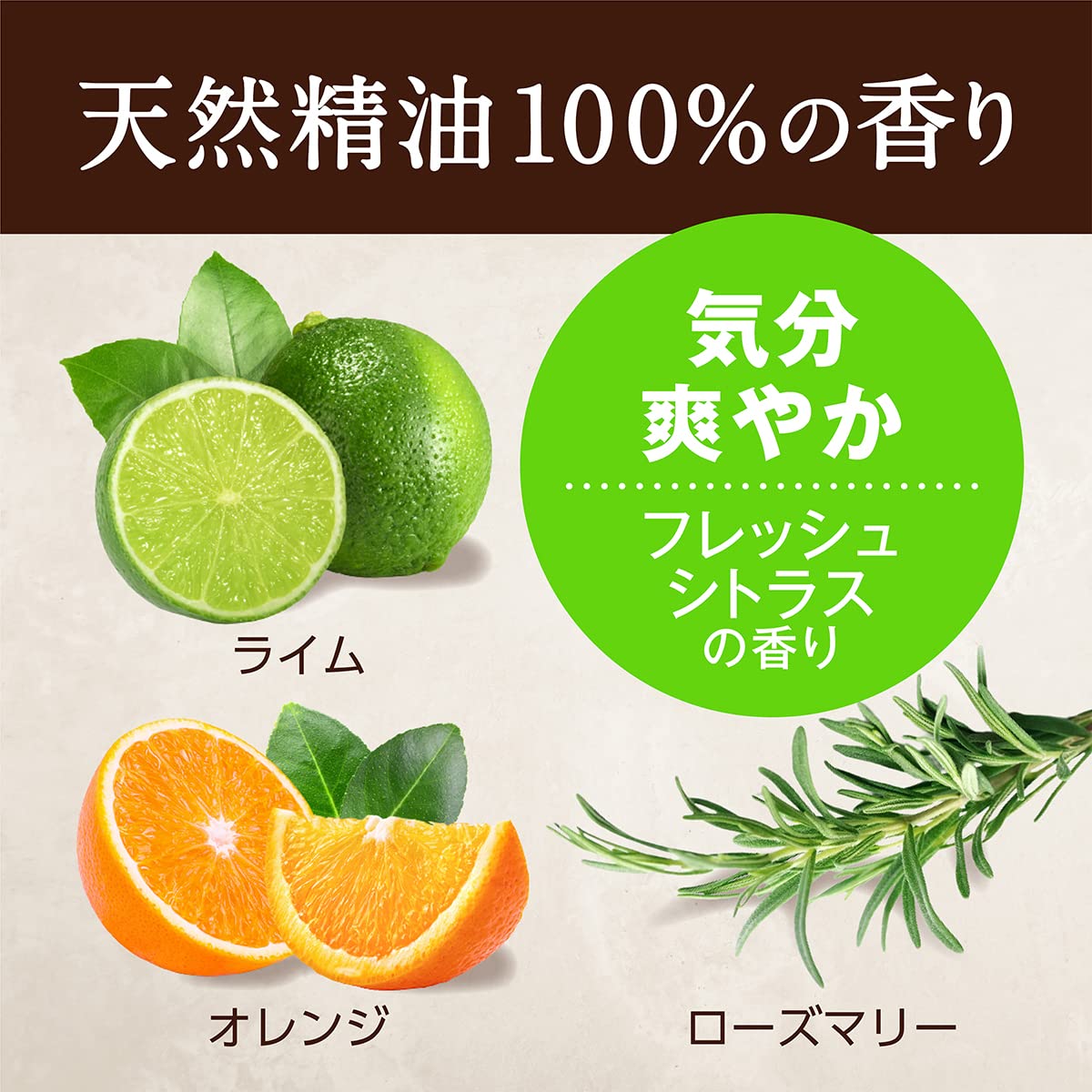 【まとめ買い】プライムフォーム　フレッシュシトラス　本体　２８０ｍＬ 容量280ML×20点セット サラヤ ハンドソープ