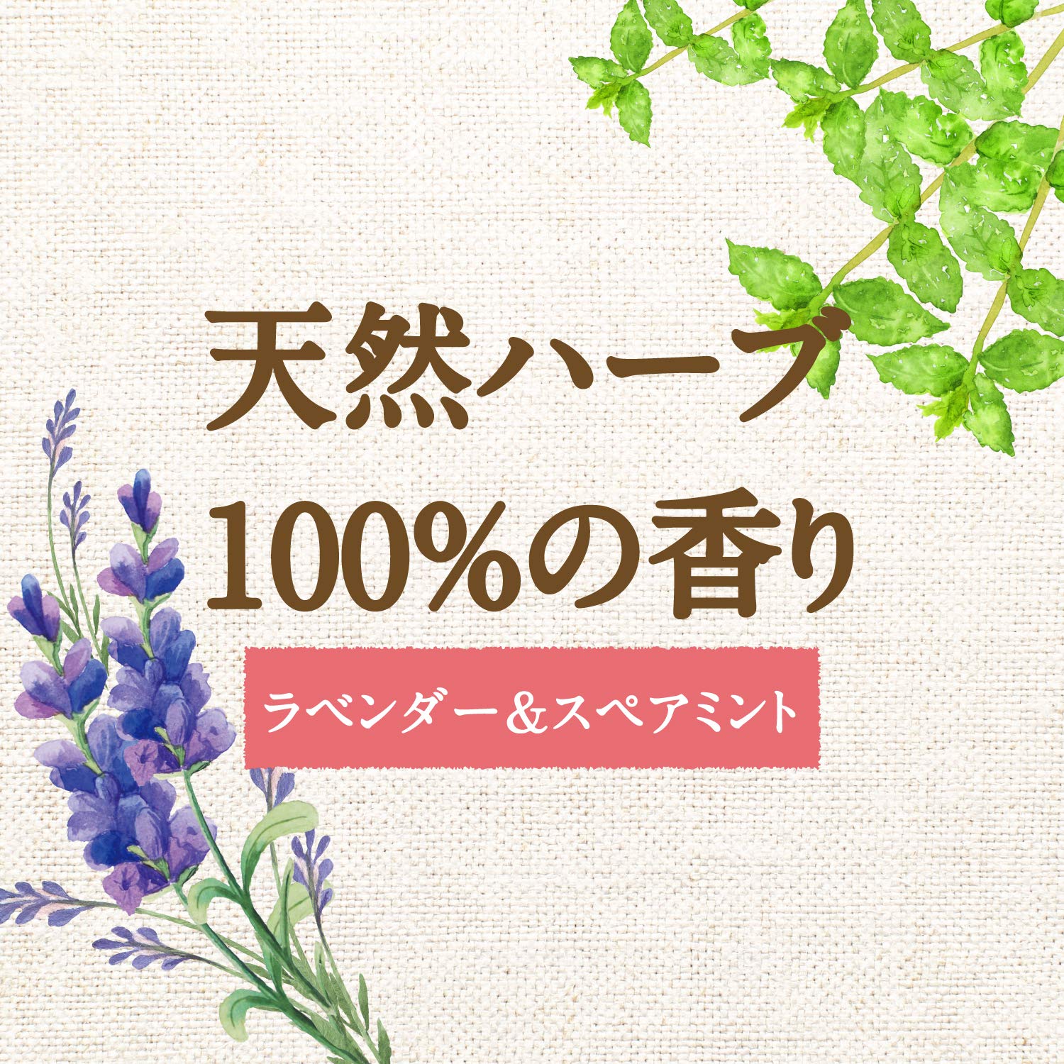 【まとめ買い】アラウ　洗たく用せっけん詰替用２Ｌ 容量2L×6点セット サラヤ 衣料用洗剤・自然派