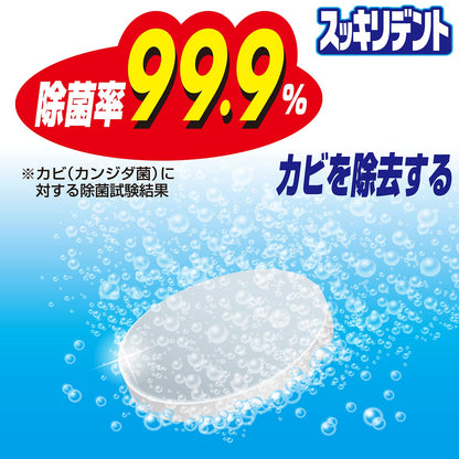 【まとめ買い】スッキリデント部分・総入れ歯兼用入れ歯洗浄剤 容量120個×12点セット ライオンケミカル 入れ歯用