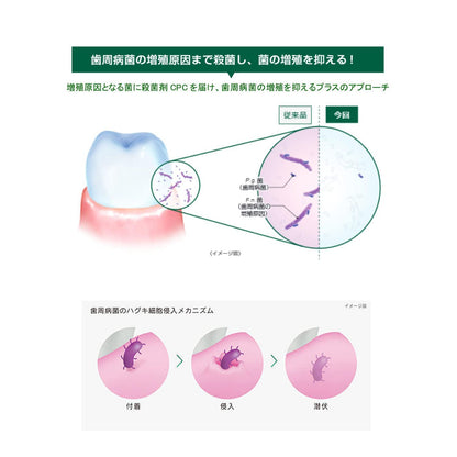 【まとめ買い】ガム　GUM プラス　デンタルペースト　ハーブミント　120g 容量120G×12点セット サンスター 歯磨き
