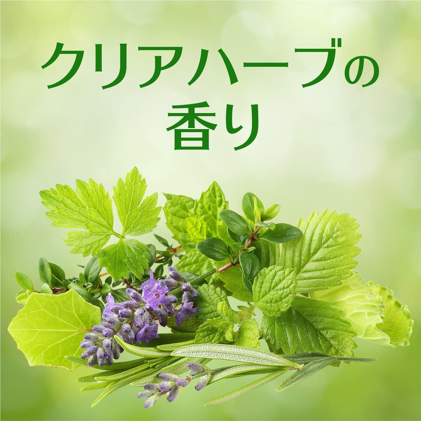 【まとめ買い】デオッシュ　ＤＥＯＳＨ　タンクにおくタイプ　クリアハーブの香り 容量65ML×20点セットアース製薬 芳香剤・トイレ用