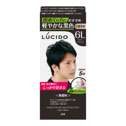 【まとめ買い】ルシード　ワンプッシュケアカラー　ライトブラック　（医薬部外品） 容量1クミ×24点セット マンダム ヘアカラー