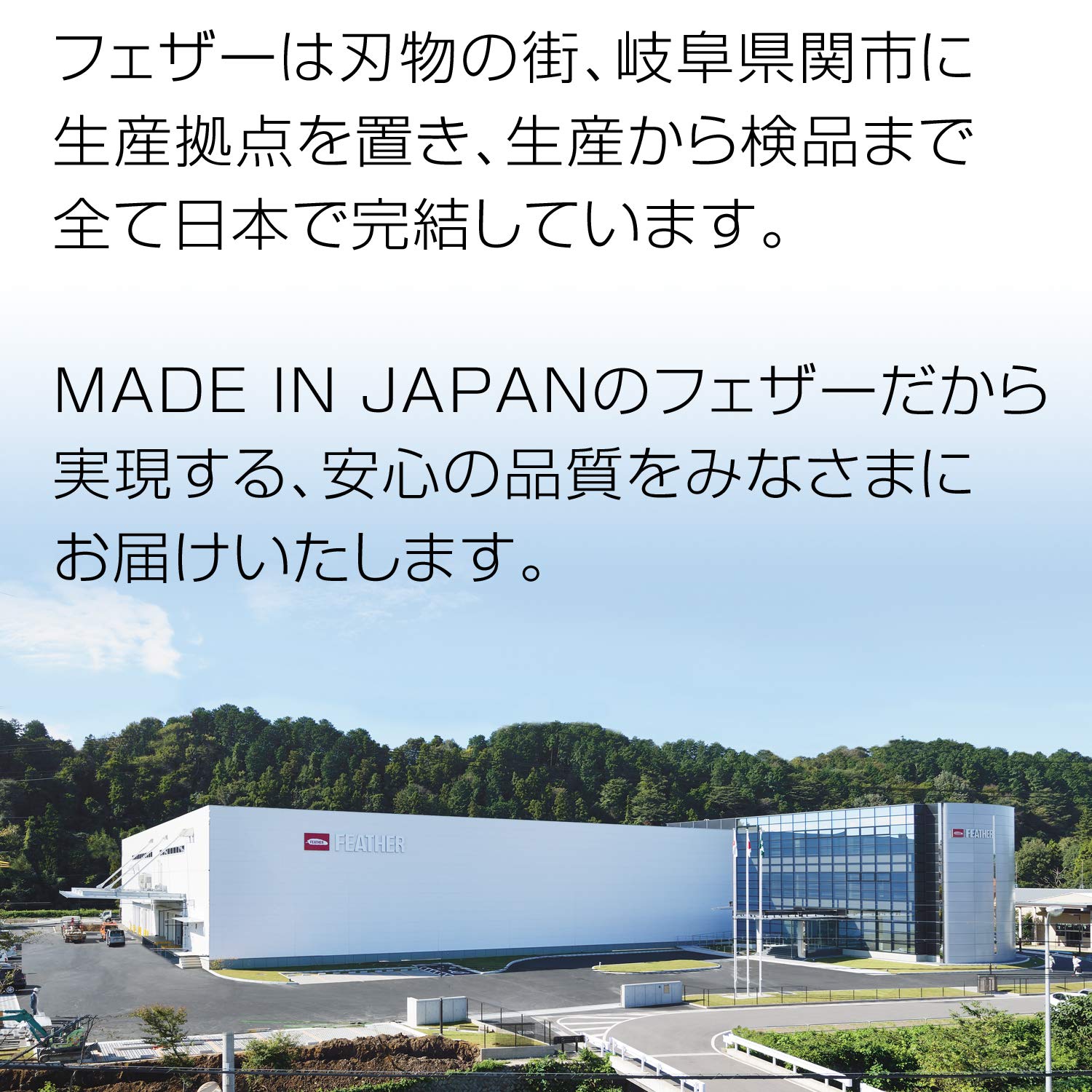 【まとめ買い】ハイ・ステンレス両刃１０枚入り 容量10マイ×12点セット フェザー安全剃刃 男性用カミソリ