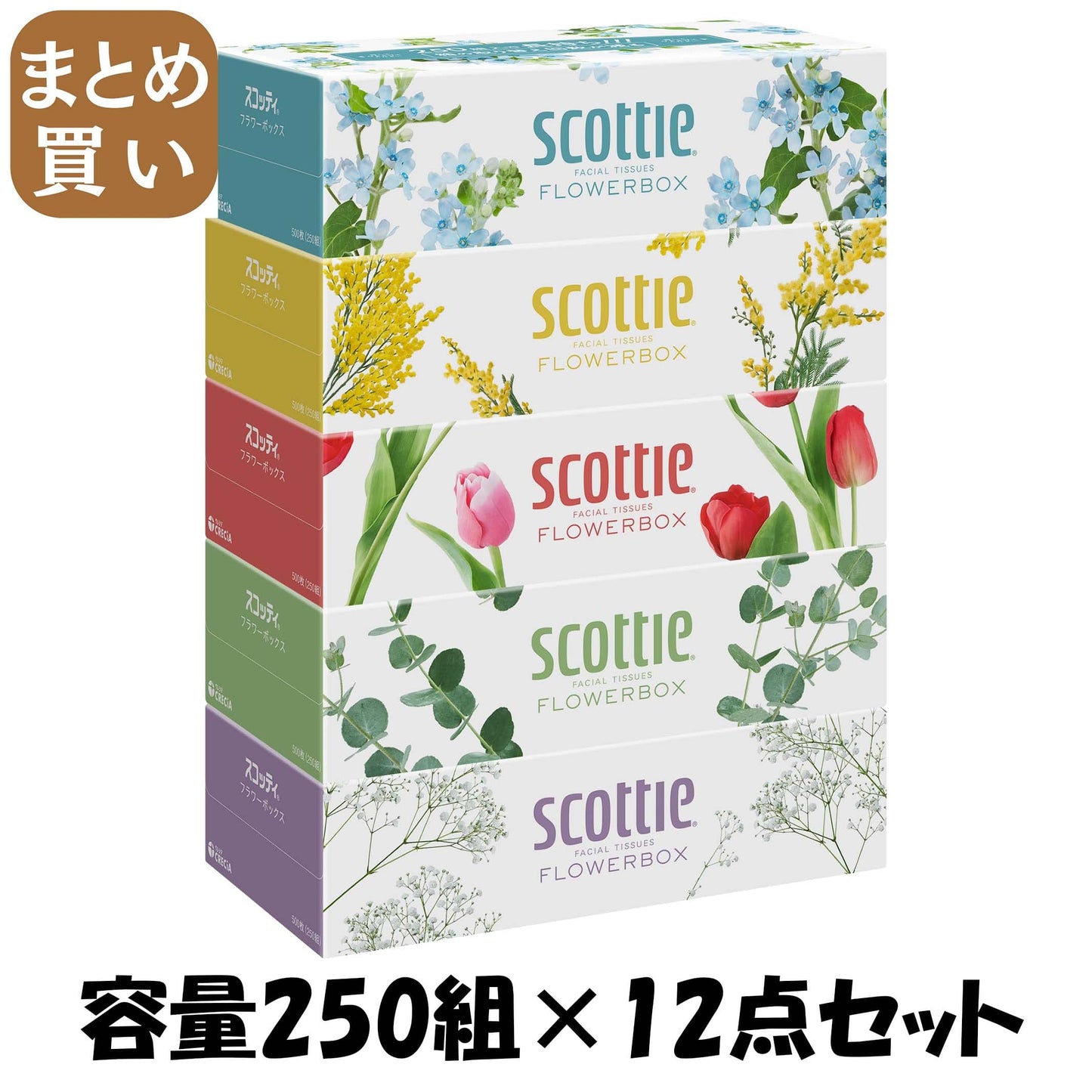 【まとめ買い】ＳＣＴ　ティシュー　フラワーボックス　２５０組　５箱パック 容量250ｸﾐ×12点セット日本製紙クレシア ティッシュ