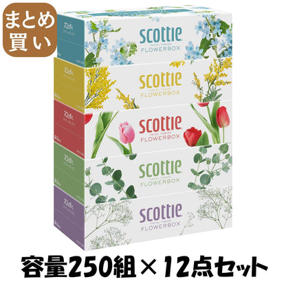 【まとめ買い】ＳＣＴ　ティシュー　フラワーボックス　２５０組　５箱パック 容量250ｸﾐ×12点セット日本製紙クレシア ティッシュ
