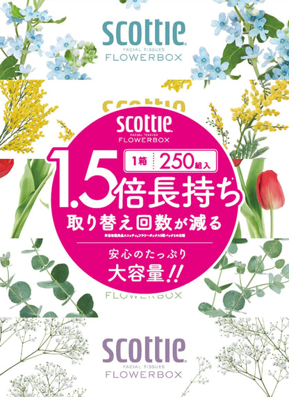 【まとめ買い】ＳＣＴ　ティシュー　フラワーボックス　２５０組　５箱パック 容量250ｸﾐ×12点セット日本製紙クレシア ティッシュ