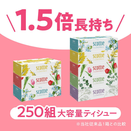 【まとめ買い】ＳＣＴ　ティシュー　フラワーボックス　２５０組　５箱パック 容量250ｸﾐ×12点セット日本製紙クレシア ティッシュ