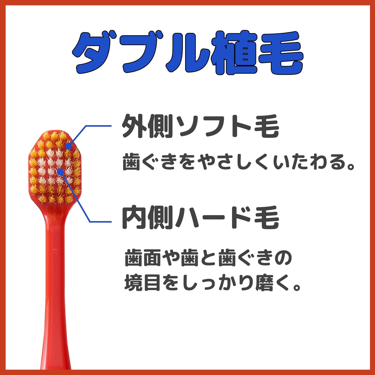 【まとめ買い】Ｂ－３６００Ｍ　プレミアムケアハブラシ・６列コンパクト　ふつう 容量1ホン×12点セット エビス 歯ブラシ
