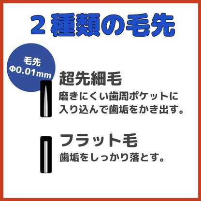 【まとめ買い】Ｂ－３６０１Ｓ　プレミアムケアハブラシ・６列レギュラー　やわらかめ 容量1ホン×12点セット エビス 歯ブラシ