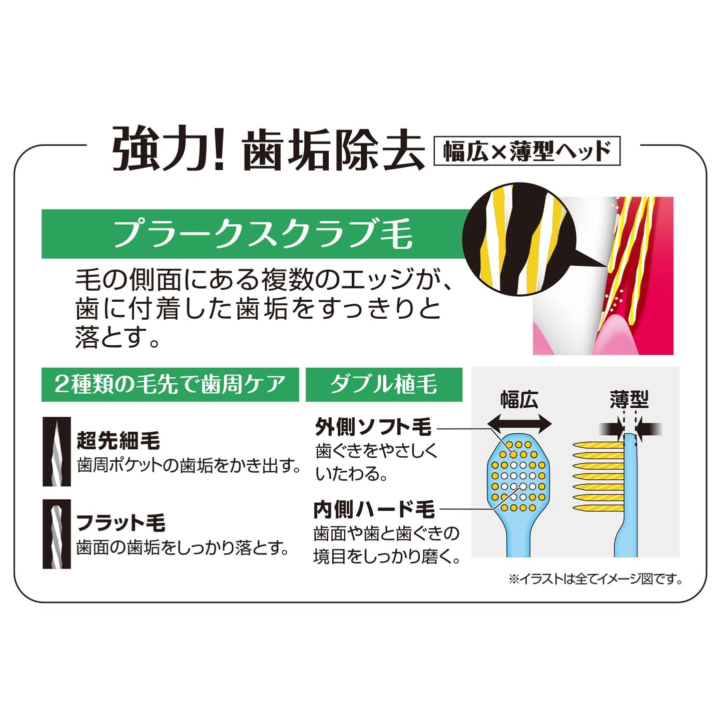 【まとめ買い】Ｂ－３６０５Ｍ　プレミアムケア高歯垢除去・６列超コンパクト　ふつう 容量1ホン×12点セット エビス 歯ブラシ