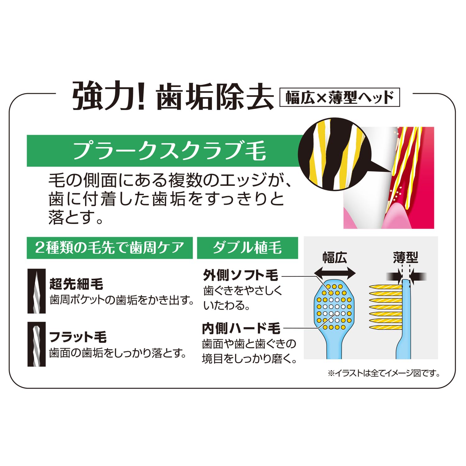 【まとめ買い】Ｂ－３６０５Ｍ　プレミアムケア高歯垢除去・６列超コンパクト　ふつう 容量1ホン×12点セット エビス 歯ブラシ