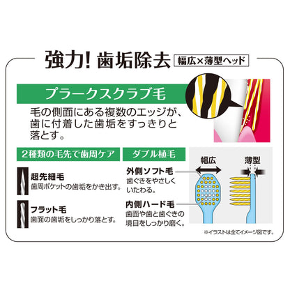【まとめ買い】Ｂ－３６０５Ｍ　プレミアムケア高歯垢除去・６列超コンパクト　ふつう 容量1ホン×12点セット エビス 歯ブラシ