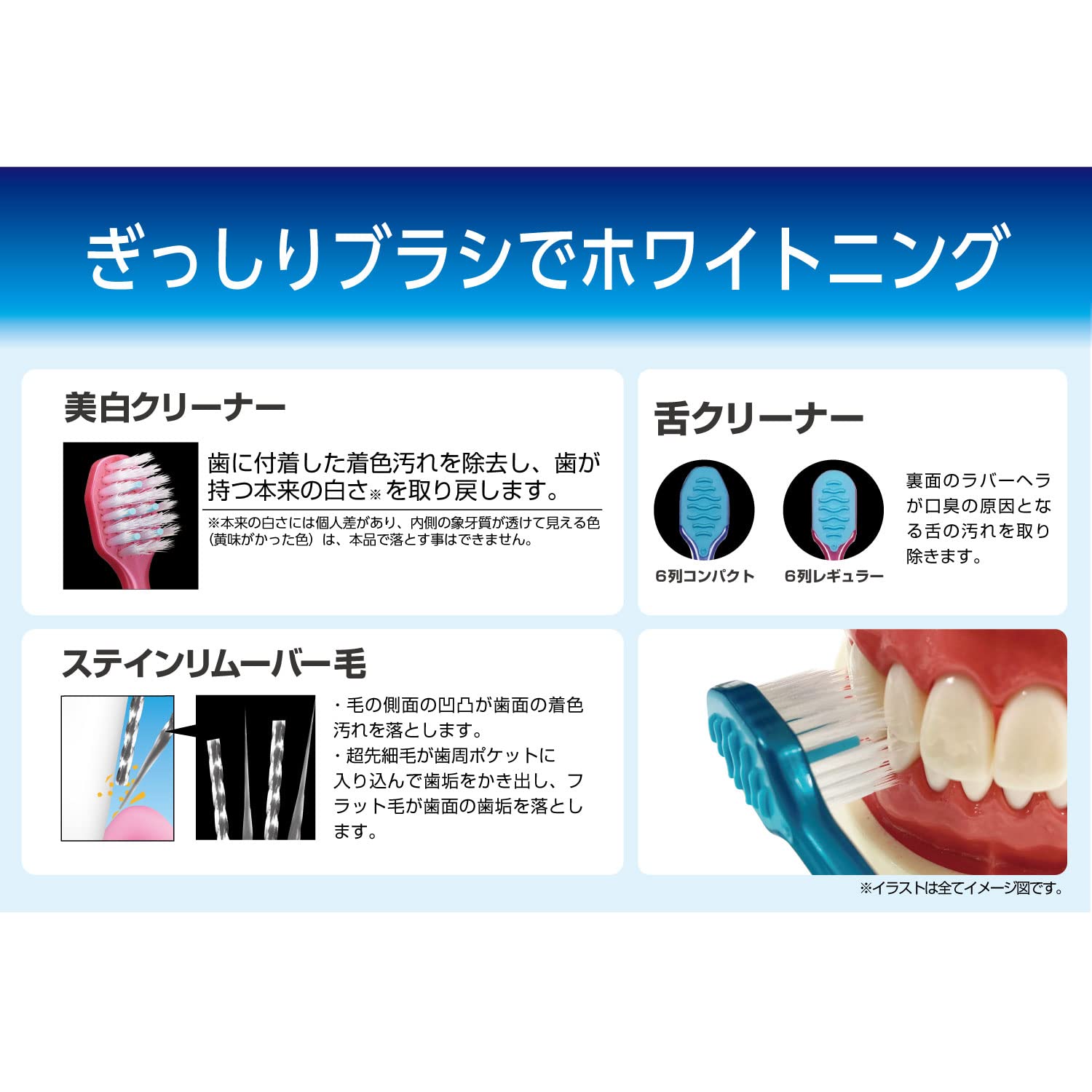 【まとめ買い】Ｂ－３６０６Ｍ　プレミアムケア歯の美白・６列コンパクト　ふつう 容量1ホン×12点セット エビス 歯ブラシ