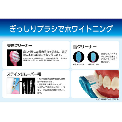 【まとめ買い】Ｂ－３６０６Ｍ　プレミアムケア歯の美白・６列コンパクト　ふつう 容量1ホン×12点セット エビス 歯ブラシ