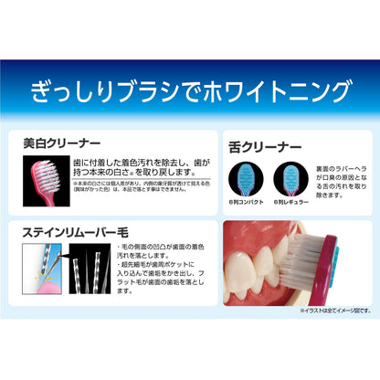 【まとめ買い】Ｂ－３６０７Ｍ　プレミアムケア歯の美白・６列レギュラー　ふつう 容量1ホン×12点セット エビス 歯ブラシ