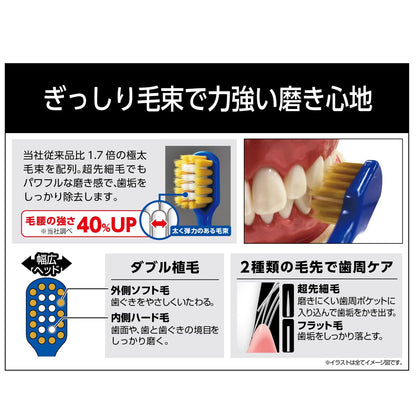 【まとめ買い】Ｂ－３６０８Ｈ　プレミアムケア強力磨き・レギュラー　かため 容量1ホン×12点セット エビス 歯ブラシ