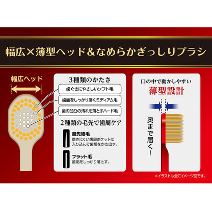 【まとめ買い】Ｂ－３６２１Ｍ　ザ・プレミアムケア　８列レギュラー　ふつう 容量1ホン×12点セット エビス 歯ブラシ