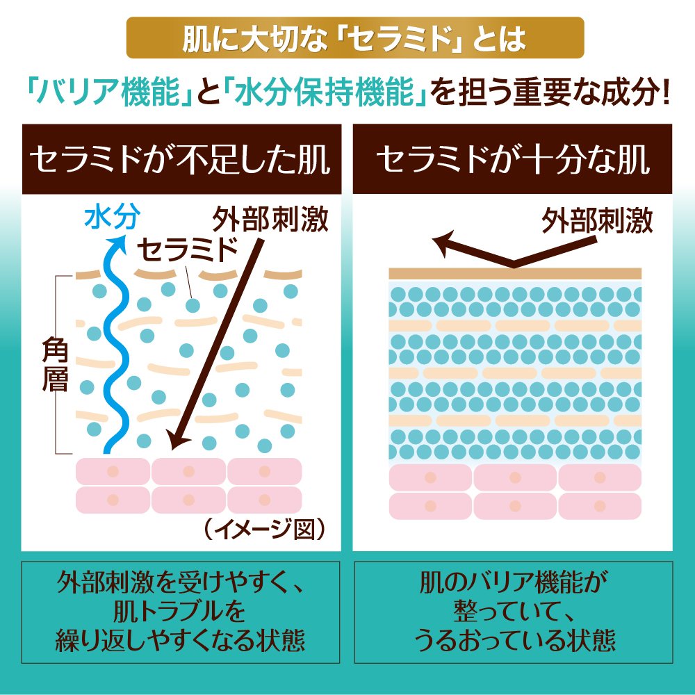 【まとめ買い】ケアセラ 泡の高保湿ボディウォッシュ 詰替え用 385mL 容量385ML×20点セット ロート製薬 ボディソープ