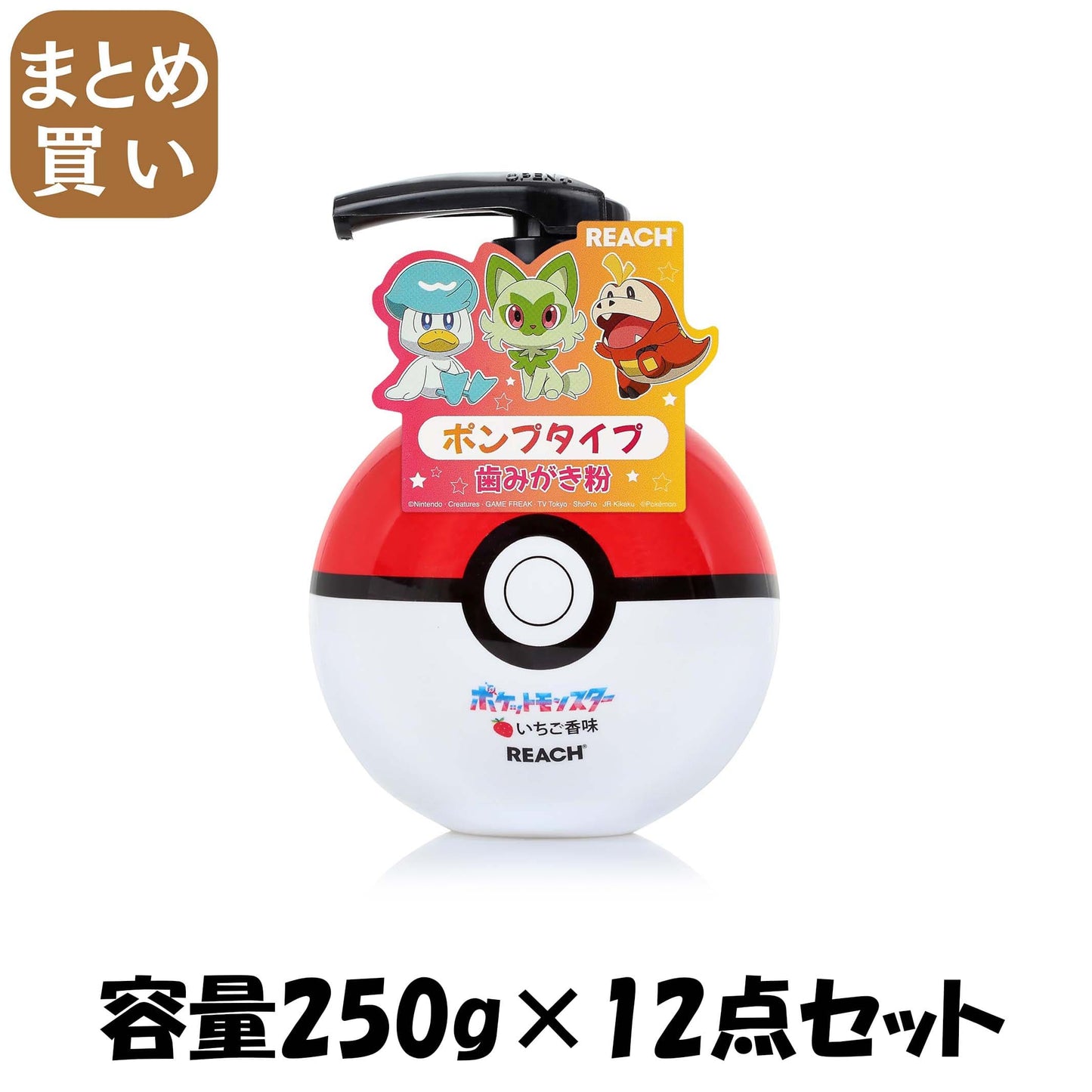 【まとめ買い】リーチキッズポンプ歯みがき　いちご香味 容量250G×12点セット 銀座ステファニー 歯磨き