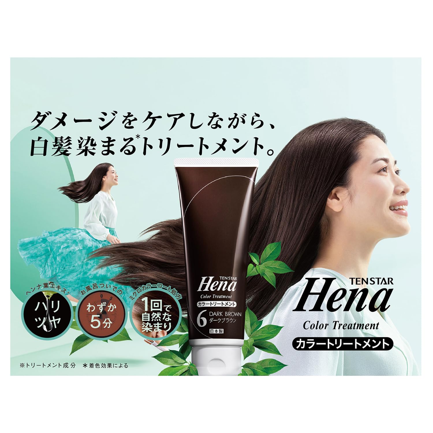 【まとめ買い】テンスター　カラートリートメント　ＷＢＲ 容量250G×6点セット 三宝商事 ヘアカラー・白髪用