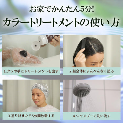【まとめ買い】テンスター　カラートリートメント　ＷＢＲ 容量250G×6点セット 三宝商事 ヘアカラー・白髪用