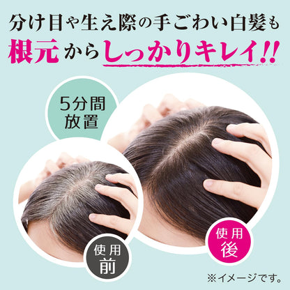 【まとめ買い】テンスター　カラートリートメント　ＷＢＲ 容量250G×6点セット 三宝商事 ヘアカラー・白髪用