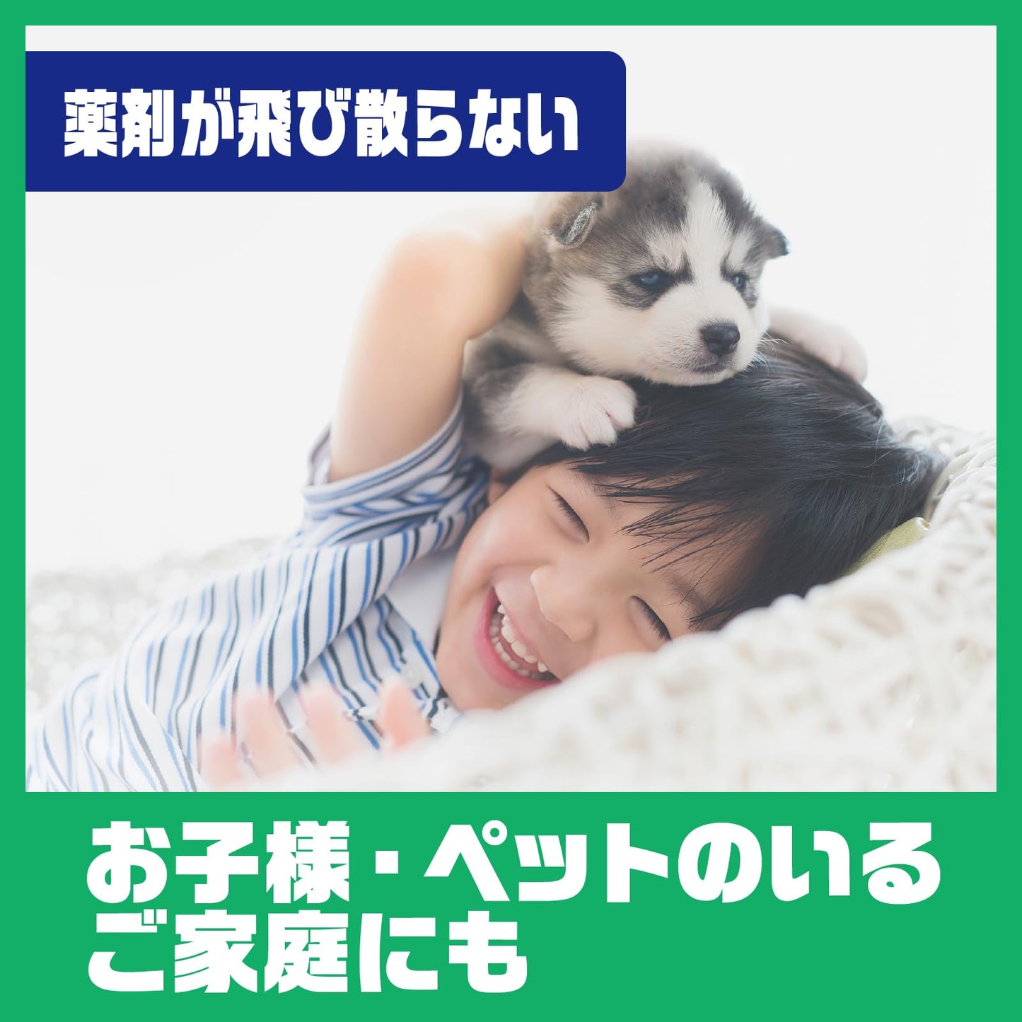 【まとめ買い】アリの巣コロリ　半生タイプ　６個入 容量6ｺ×12点セット アース製薬 殺虫剤・アリ