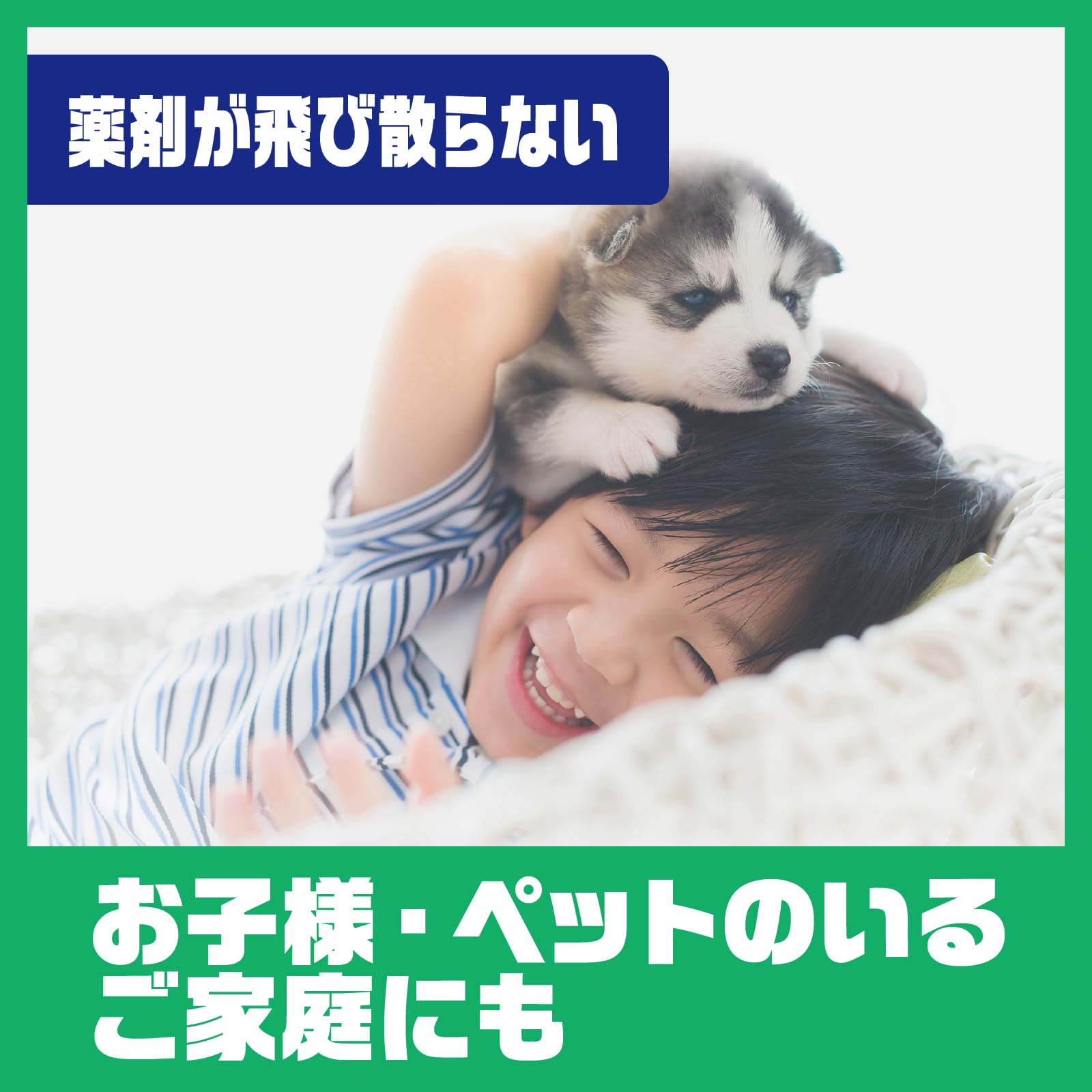 【まとめ買い】アリの巣コロリ　半生タイプ　６個入 容量6ｺ×12点セット アース製薬 殺虫剤・アリ