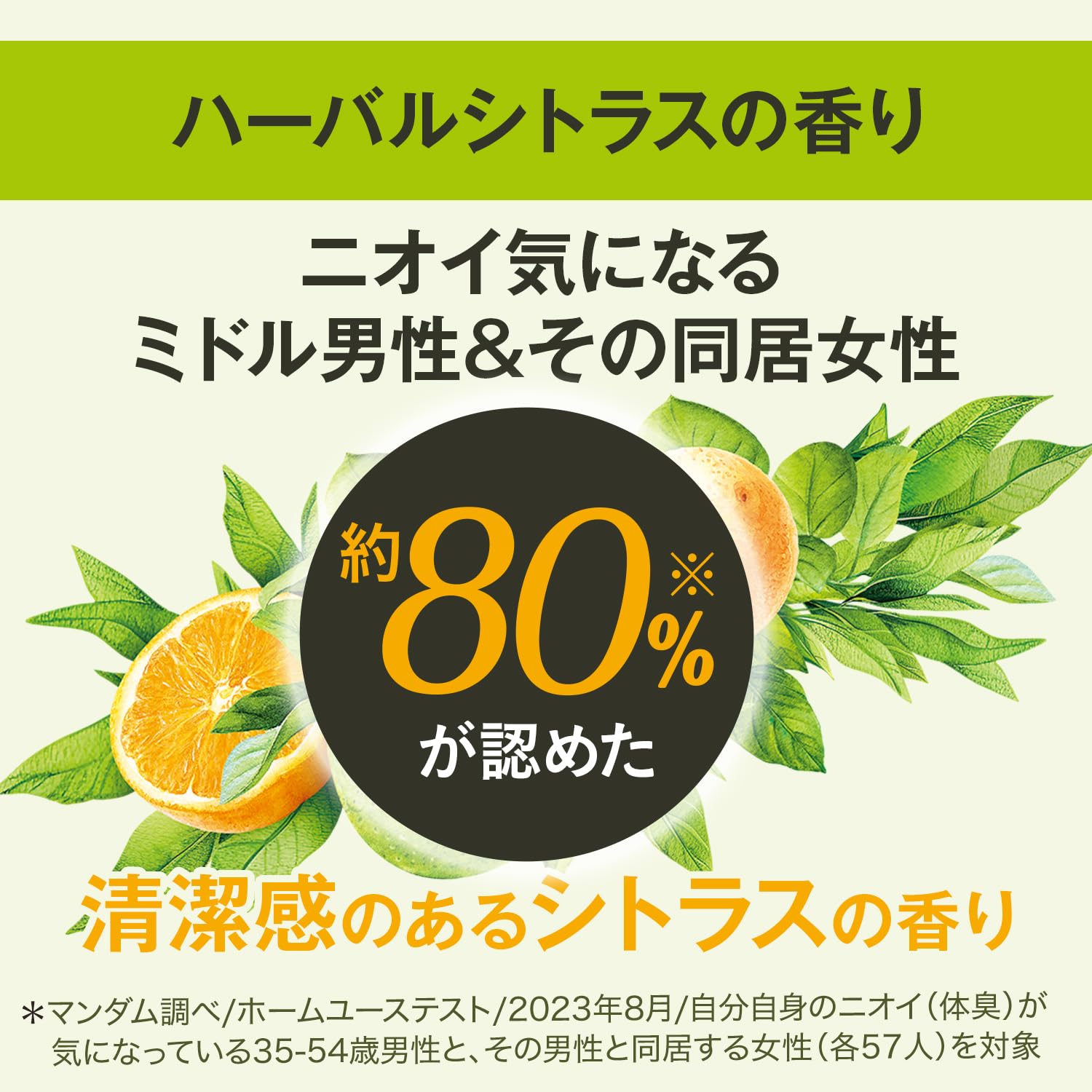 【まとめ買い】ルシード　薬用スカルプデオシャンプー　ハーバルシトラス　つめかえ用　（医薬部外品） 容量380ML×12点セットシャンプー