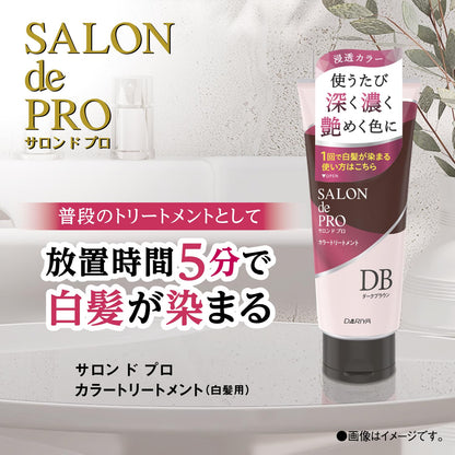 【まとめ買い】サロンドプロ　カラートリートメント　＜ベージュブラウン＞ 容量180G×24点セット ダリヤ ヘアカラー・白髪用