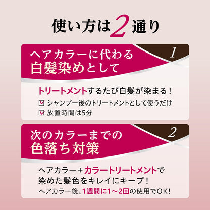 【まとめ買い】サロンドプロ　カラートリートメント　＜ベージュブラウン＞ 容量180G×3点セット ダリヤ ヘアカラー・白髪用