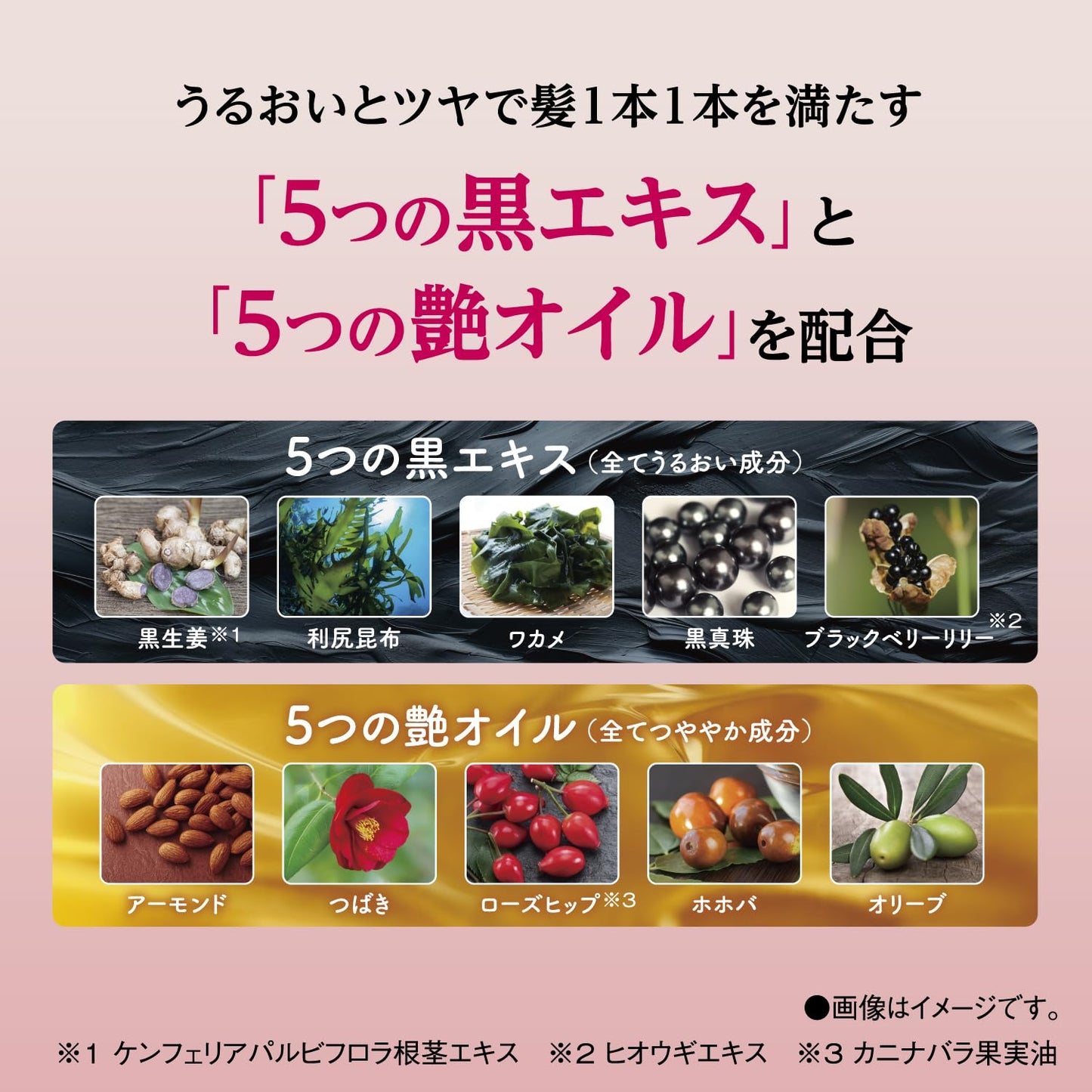 【まとめ買い】サロンドプロ　カラーシャンプー　＜ナチュラルブラウン＞ 容量300ML×24点セット ダリヤ スタイリング