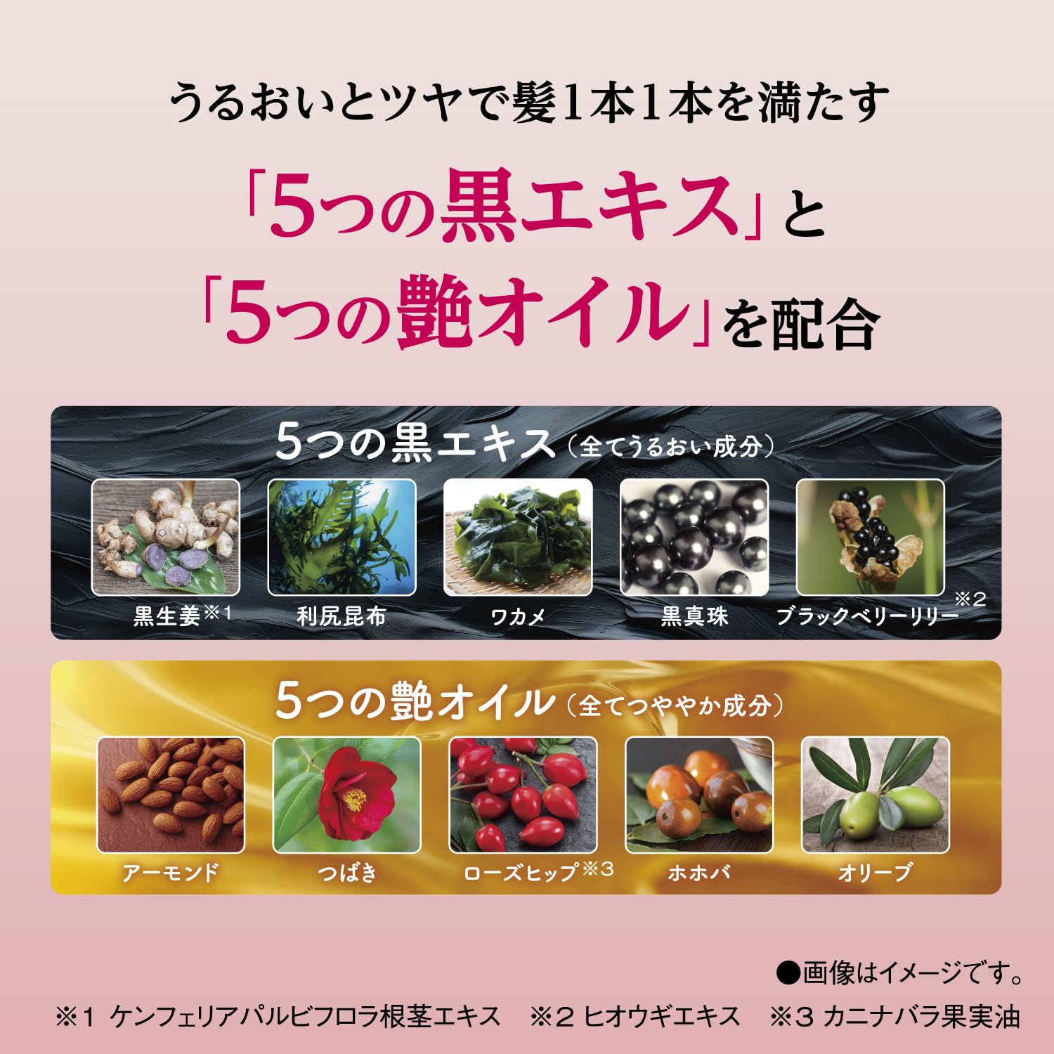 【まとめ買い】サロンドプロ　カラーシャンプー　＜アッシュブラウン＞ 容量300ML×24点セット ダリヤ スタイリング