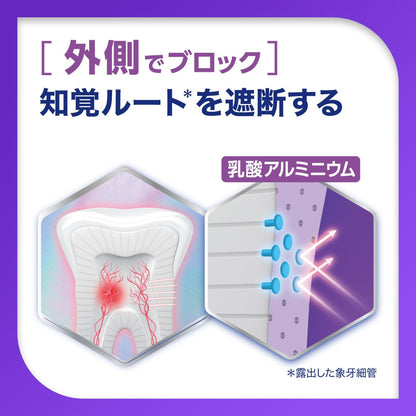 【まとめ買い】薬用シュミテクト　プラチナプロテクトＥＸ　クリアミント〈１４５０ｐｐｍ〉　９０ｇ 容量90G×6点セット歯磨き